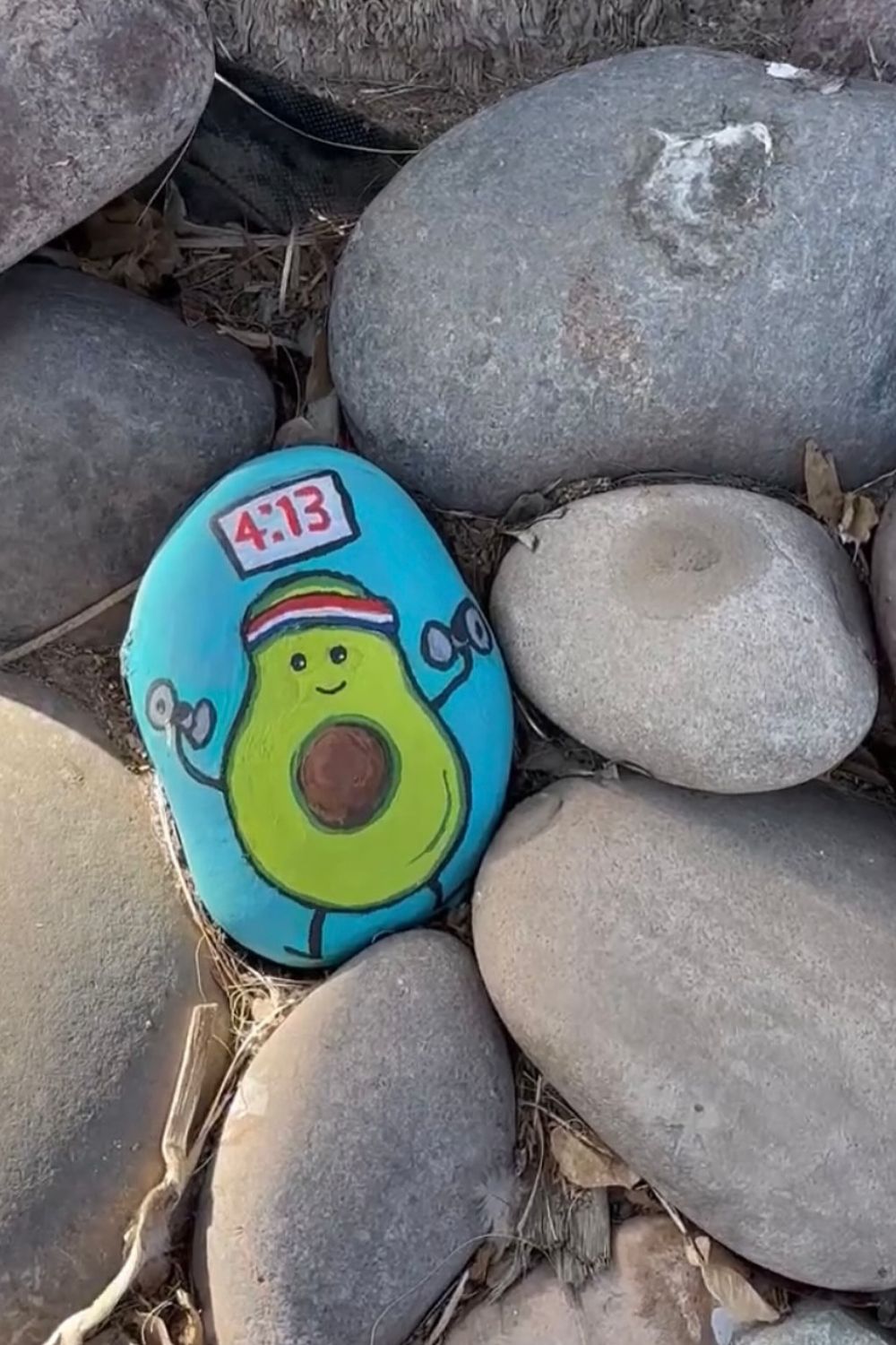 24 Painted Rocks DIY Ideas for 2026 – Fizzy Flare